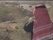 Al-barey-1