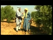 Al-toufan-11