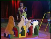 Circus-6