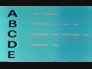 Is2alou-labiba-39