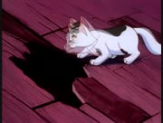 Kitty-be-1