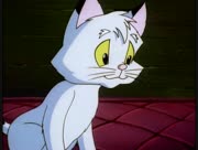 Kitty-be-2