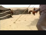 Mkhawi-al-theeb-13