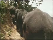 Nafitha-ala-alam-12