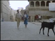 Nafitha-ala-alam-4