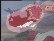 Pif-wa-hercule-35