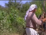Sham-sharif-1