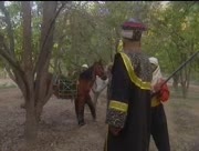 Sham-sharif-6